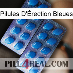 Blue Erection Pills viagra2